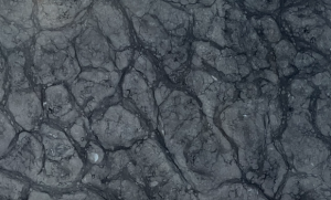 Fusion Black Marble